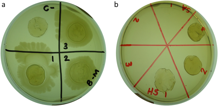 Figure 6