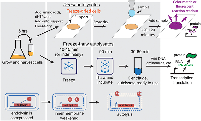 Figure 1: