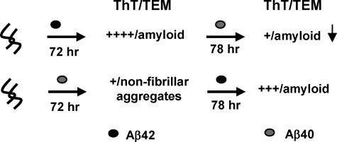 SCHEME 4.