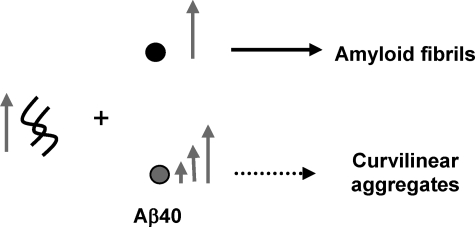 SCHEME 2.