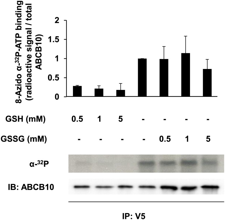 Fig 6