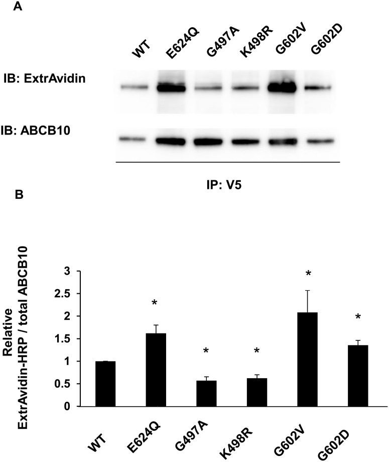 Fig 4