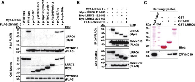 Figure 3