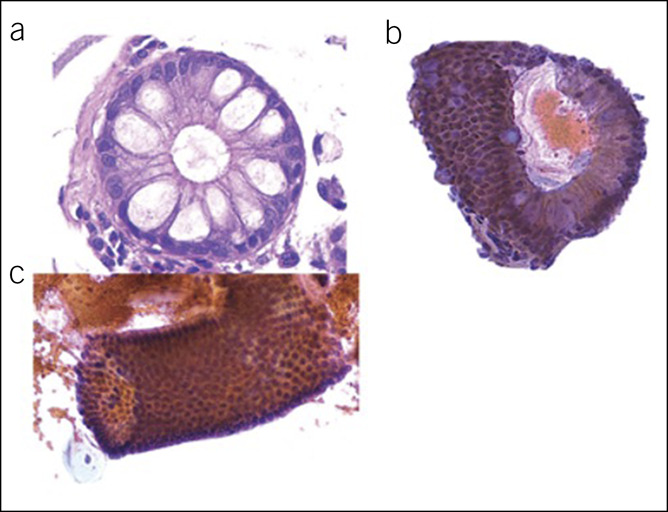 Figure 6.