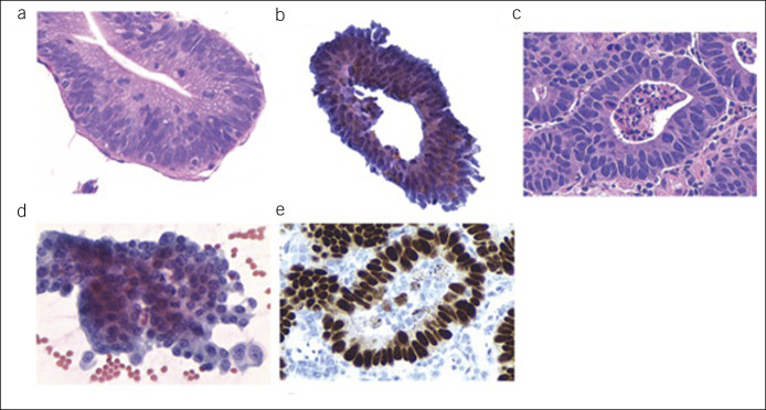 Figure 7.