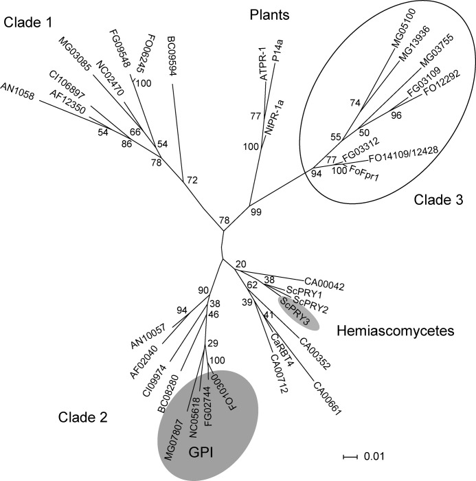 FIGURE 9.