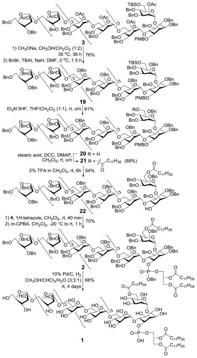 Scheme 5