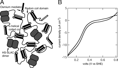 Fig. 5.