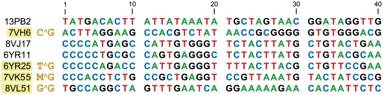 Figure 3.