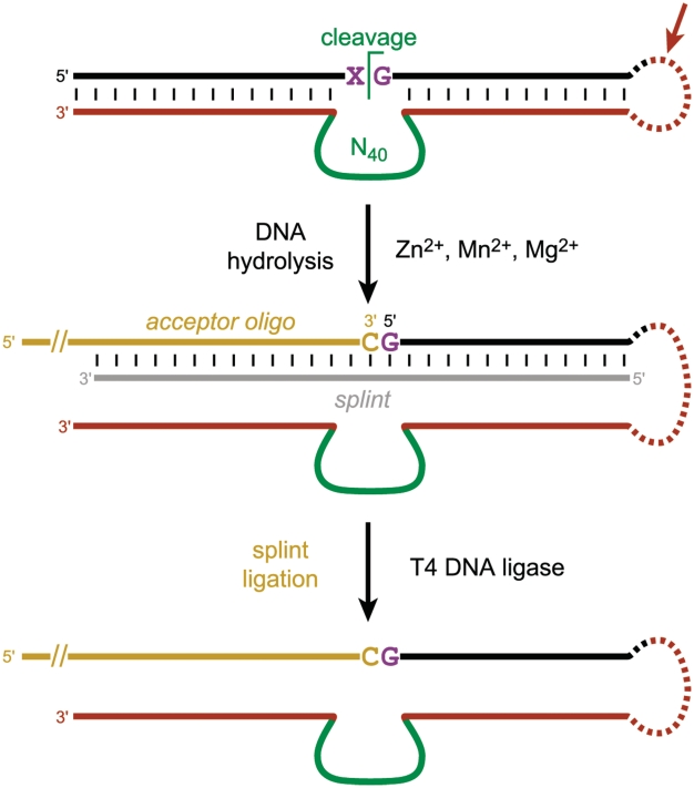 Figure 5.