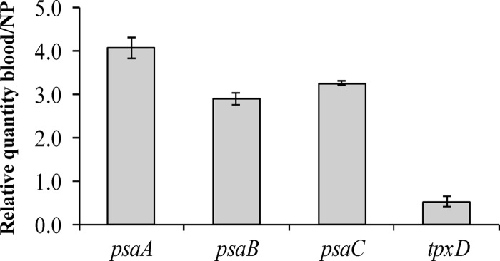 Fig 10