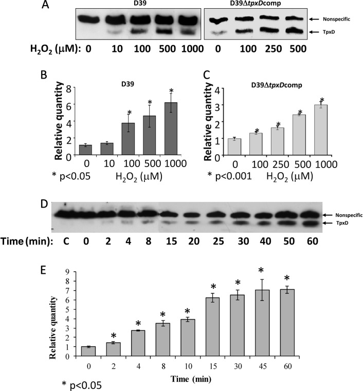 Fig 5