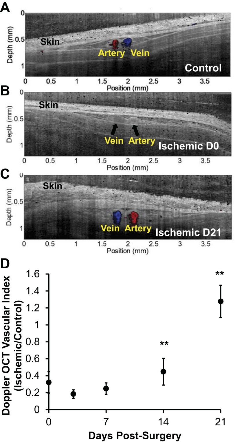 Fig. 8.