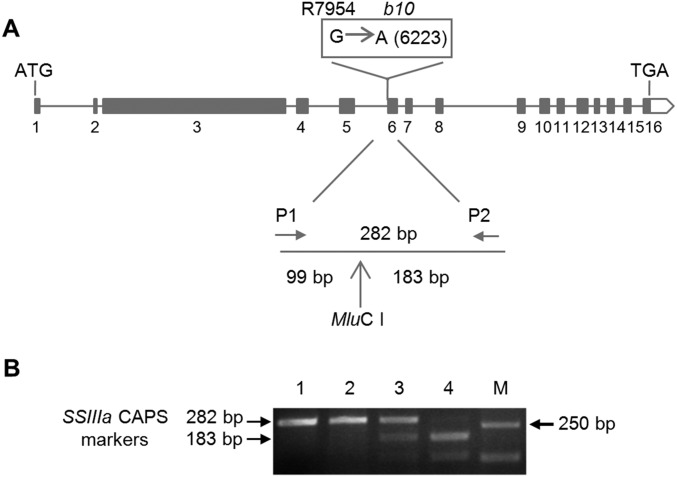 Fig. S1.