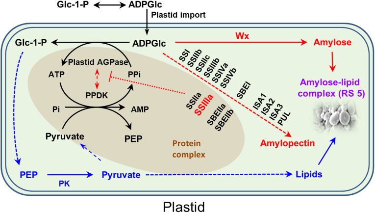 Fig. 6.