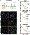 Figure 6: