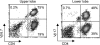 <b>Figure 4.</b>