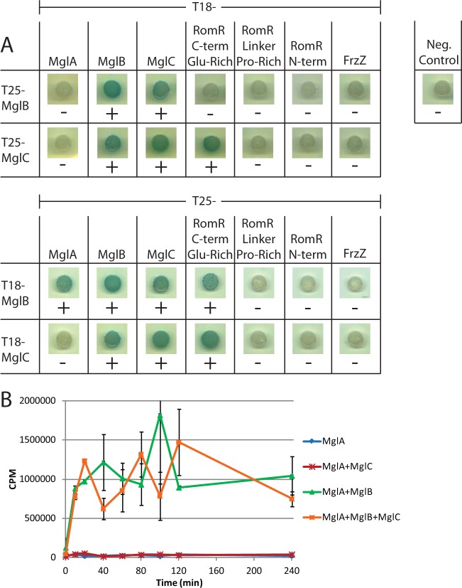 FIG 4