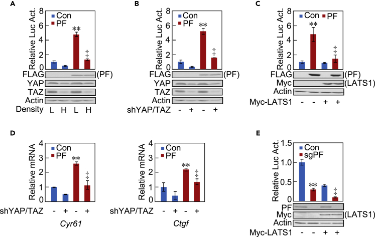 Figure 3