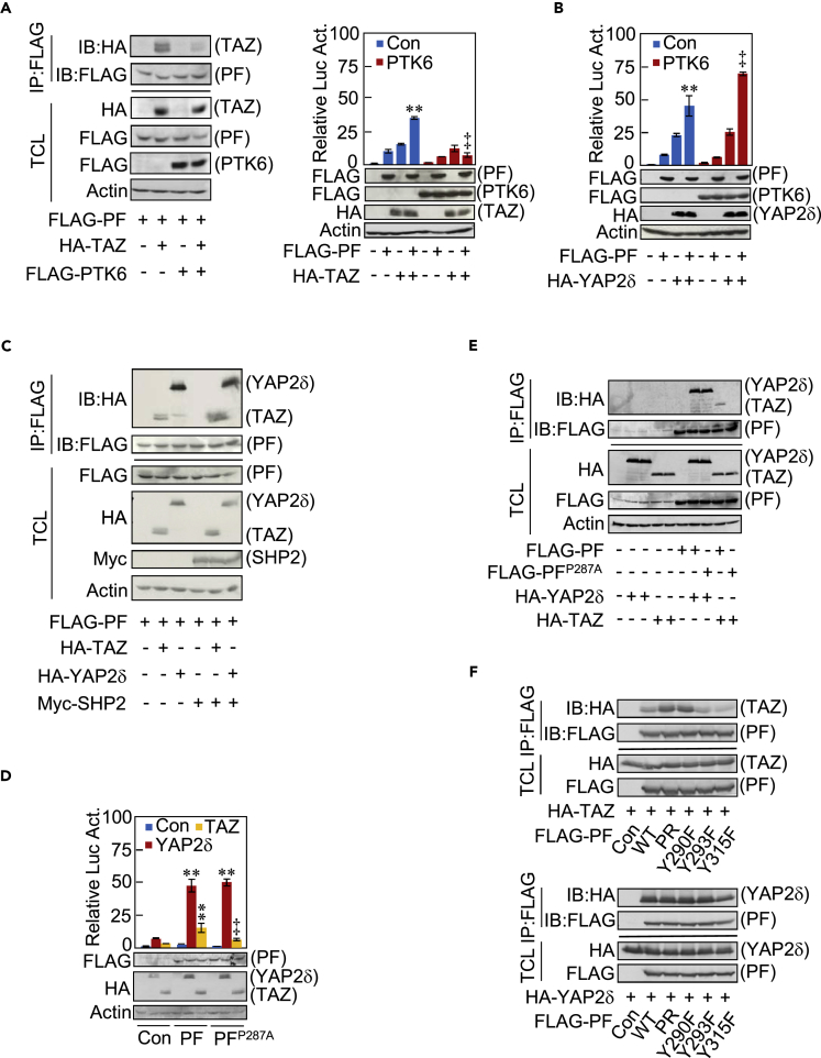 Figure 6