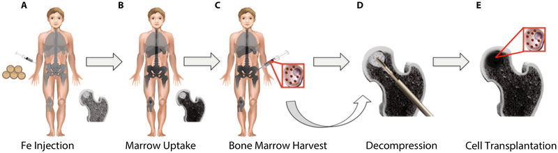 Fig. 1: