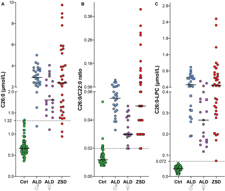 FIGURE 2