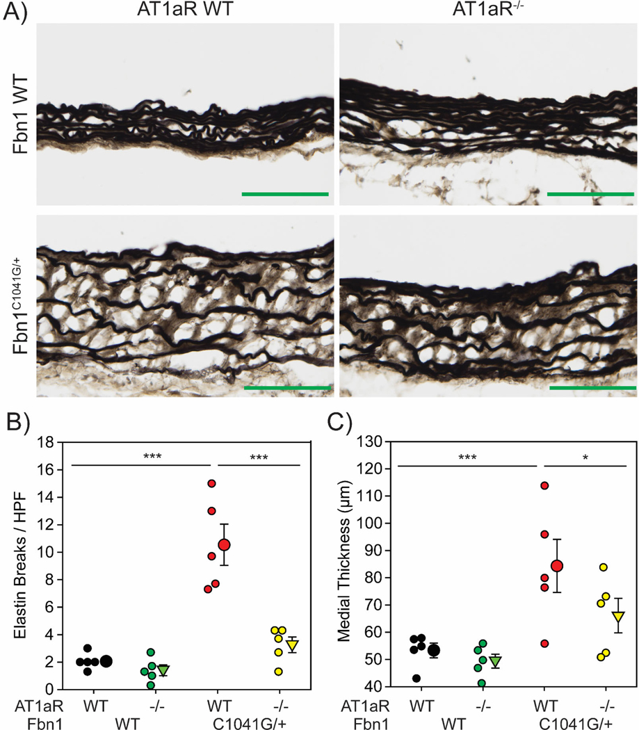 Figure 3: