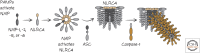 Figure 10.