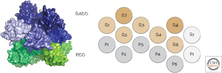 Figure 16.