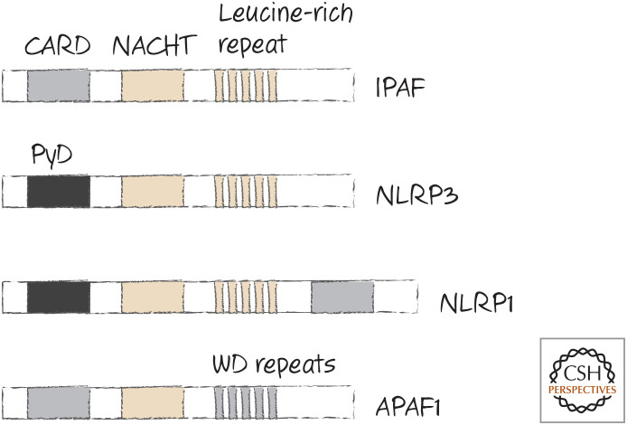 Figure 13.