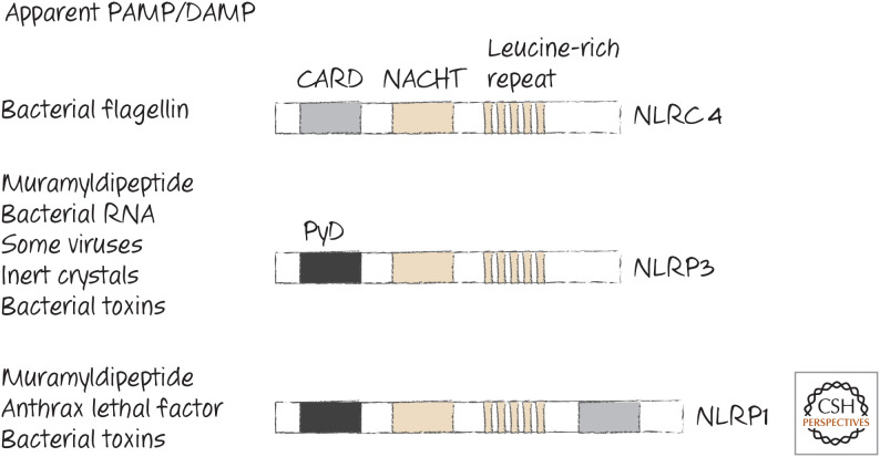 Figure 7.