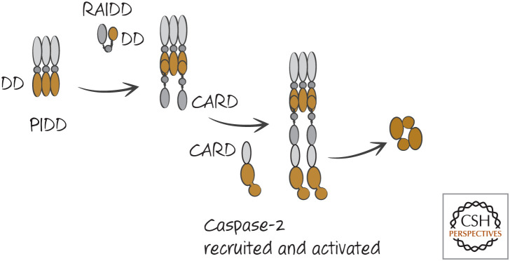 Figure 15.