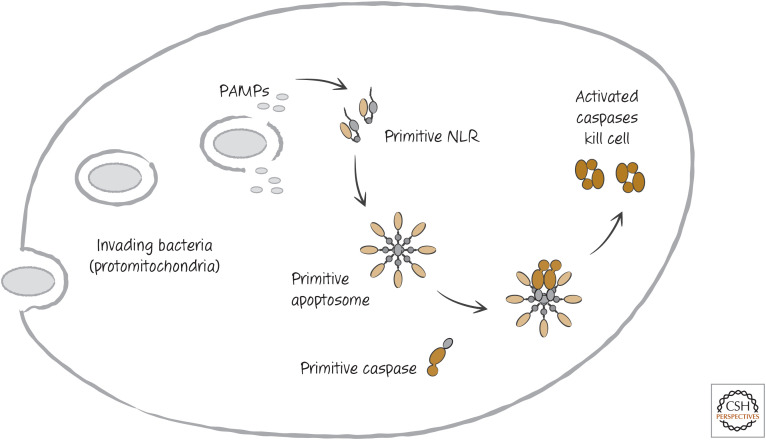 Figure 14.