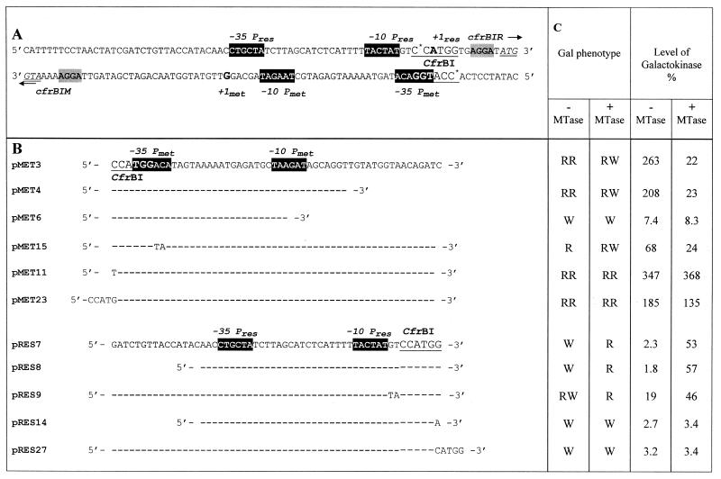 graphic file with name gkd555t01.jpg