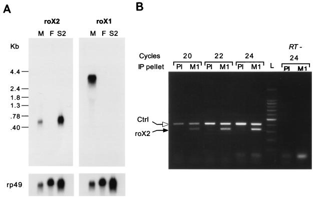 FIG. 5