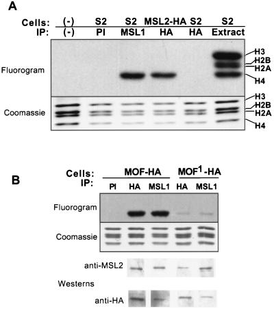 FIG. 6