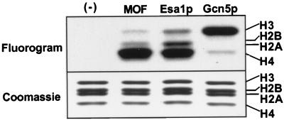 FIG. 1