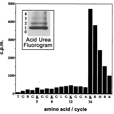 FIG. 7