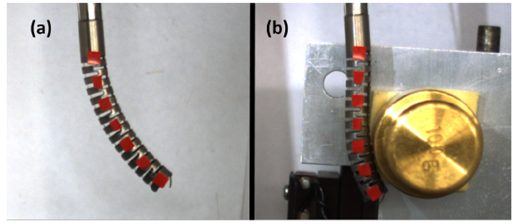 Fig. 7.