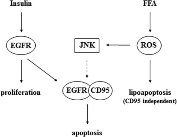 FIGURE 12.