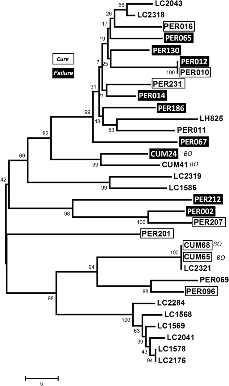 Figure 4.