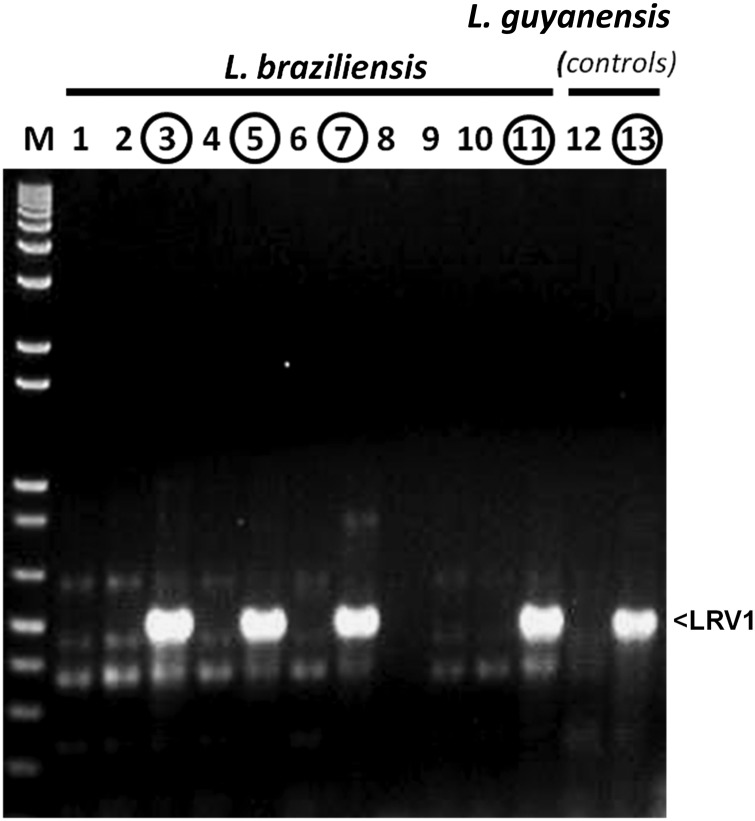 Figure 2.