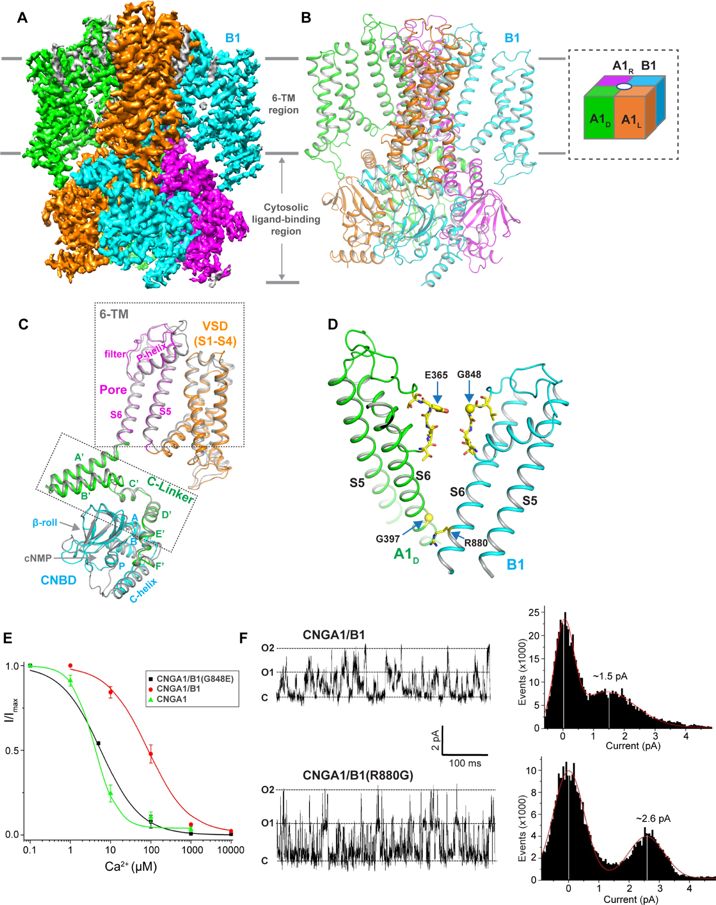 Figure 2.