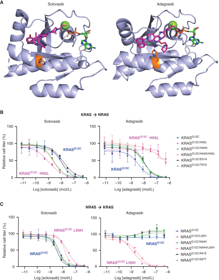 Figure 2. Structural basis of RASG12C isoform selectivity. A, Crystal structures of sotorasib (6OIM) and adagrasib (6UT0) bound to KRASG12C are shown making distinct intractions with His95 (orange). Each inhibitor is colored magenta, and GDP and a conserved Mg ion are shown in green, and the key hydrogen bond is shown in purple. B and C, Reciprocal mutagenesis studies were performed to explore the effects of substituting the four amino acid differences within the switch-II binding pocket, with NRAS amino acids substituted into KRASG12C (B) or KRAS amino acids substituted into NRASG12C. Constructs were expressed in Ba/F3 cells and treated for 72 hours in the absence of IL3 with various concentrations of the indicated inhibitors. Viable cell titer was measured using CellTiter Glo.