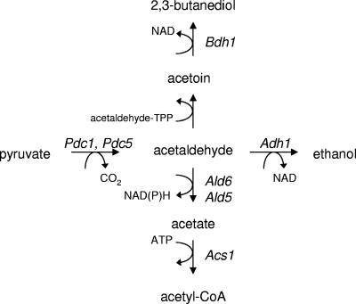 FIG. 5.