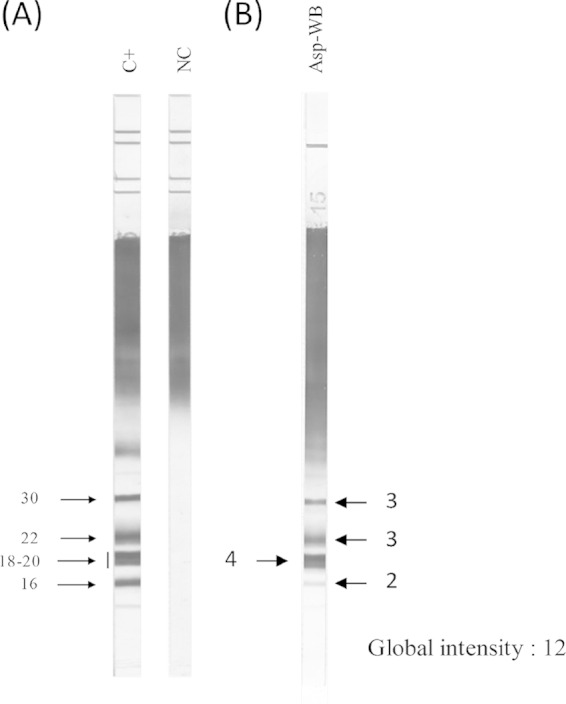 FIG 1