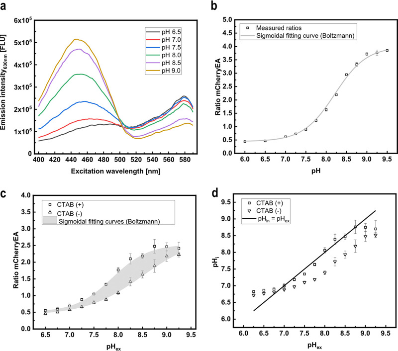 FIG 1