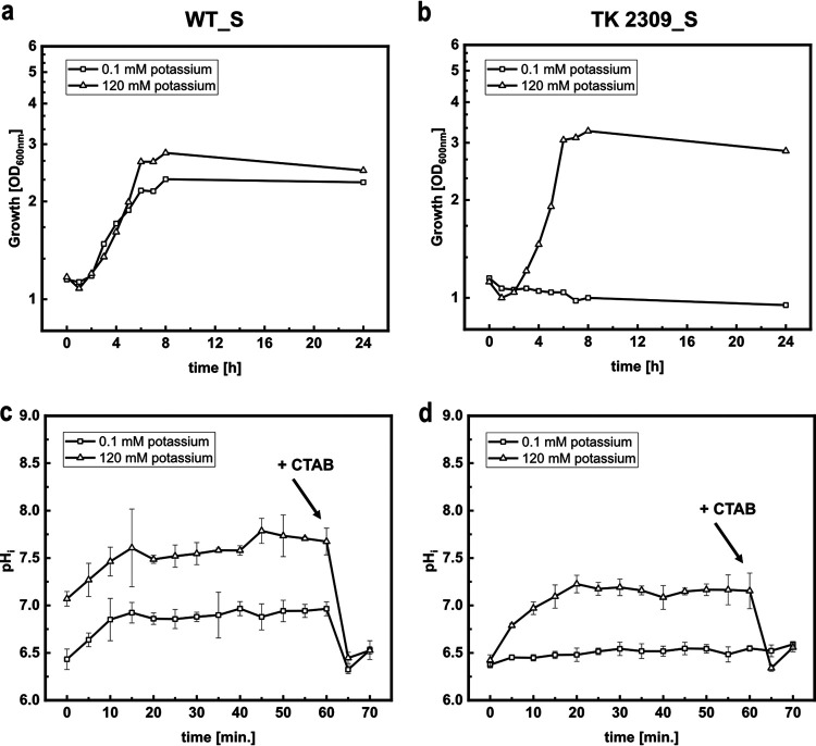 FIG 2