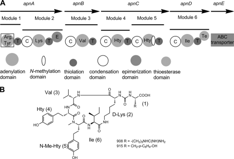 Fig. 1.