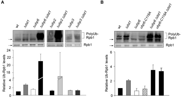 Figure 6.